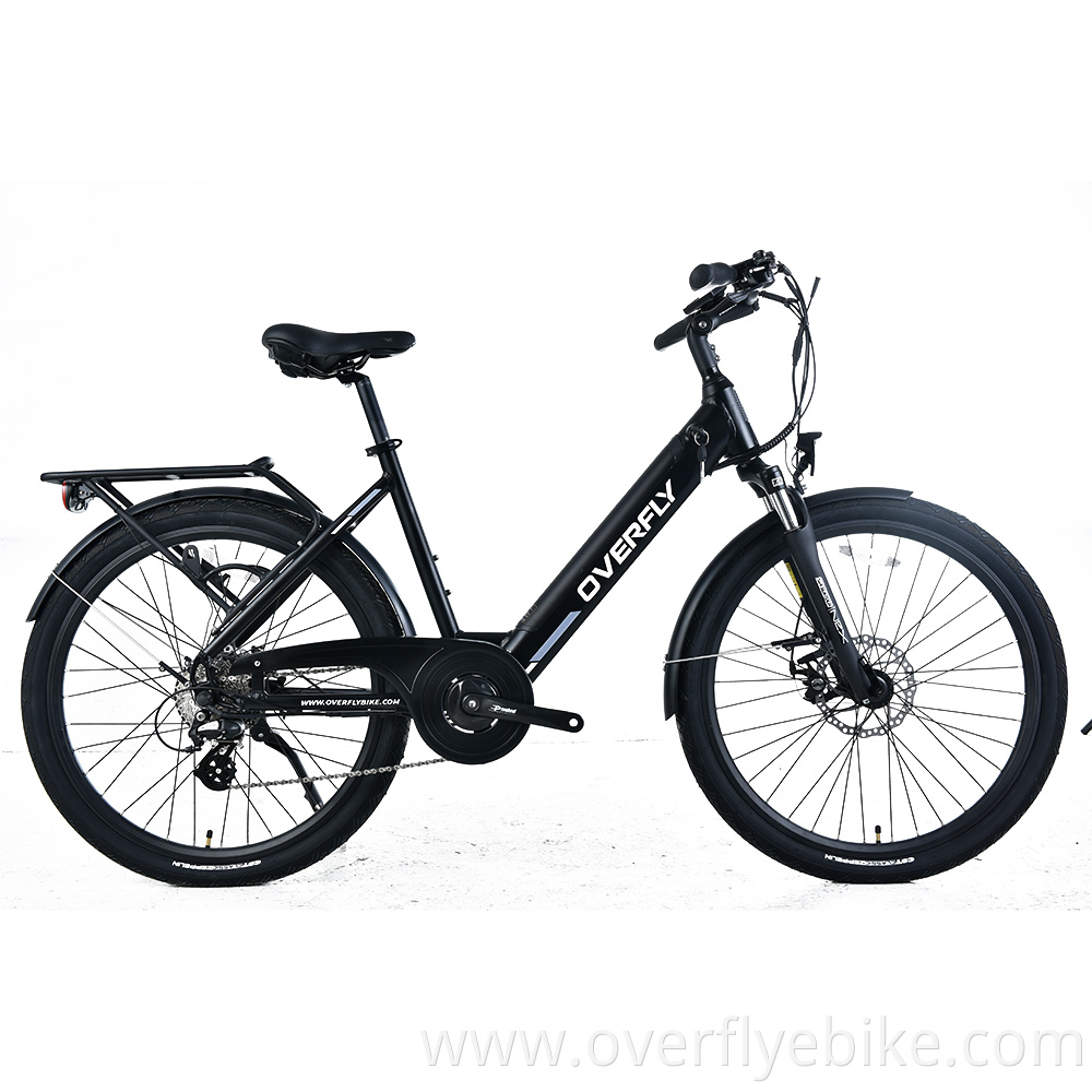 Trekking eBike